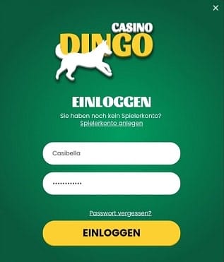 dingo casino login