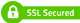 SSL Logo