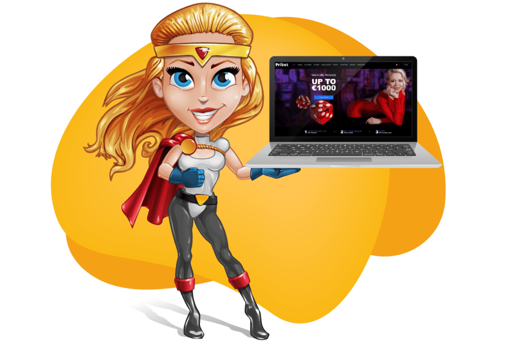 pribet desktop webseite